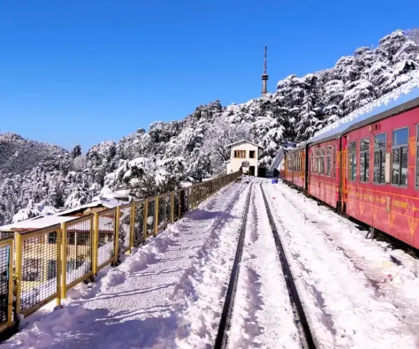 Shimla Snowfall