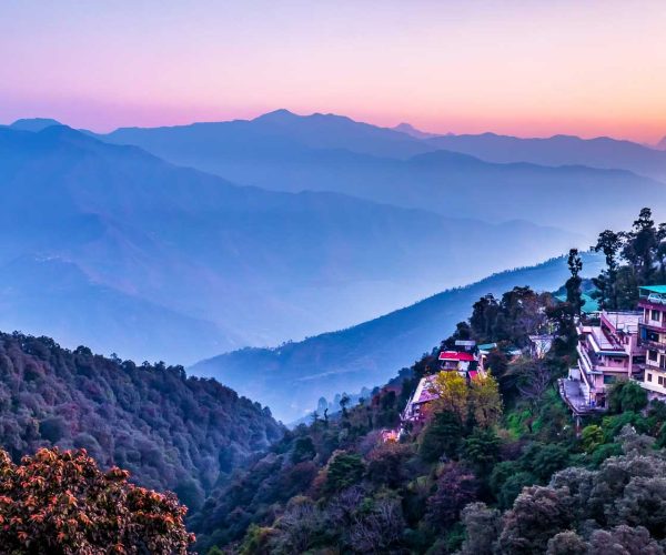 UTDB_media_logo1746526797mussorroe